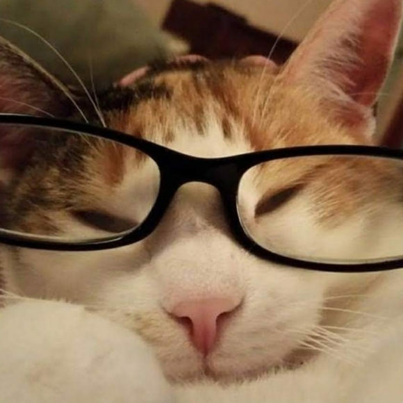 Welcome! 🦋 - Picture 10 of 13